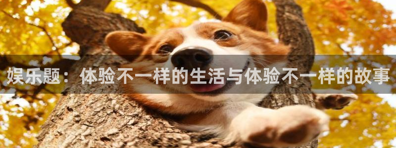 one游戏体育平台