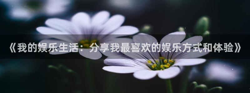one游戏官网