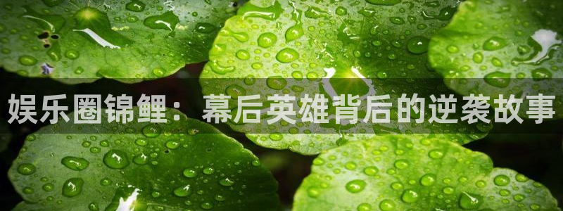 one游戏网站