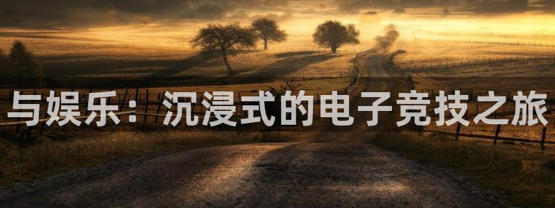 one游戏体育平台