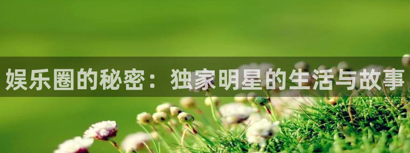 one游戏官网