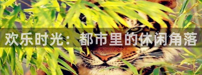 one游戏体育平台