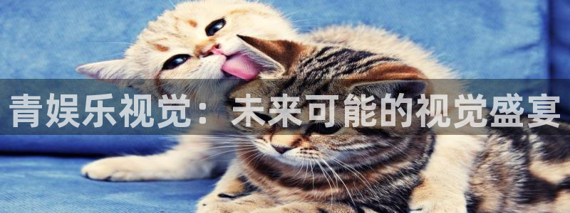 one游戏